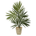 50” Kentia Artificial Palm Tree in Country White Planter