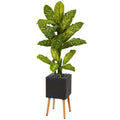 52” Dieffenbachia Artificial Plant in Black Planter with Stand (Real Touch)