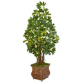52” Schefflera Artificial Tree in Brown Metal Planter