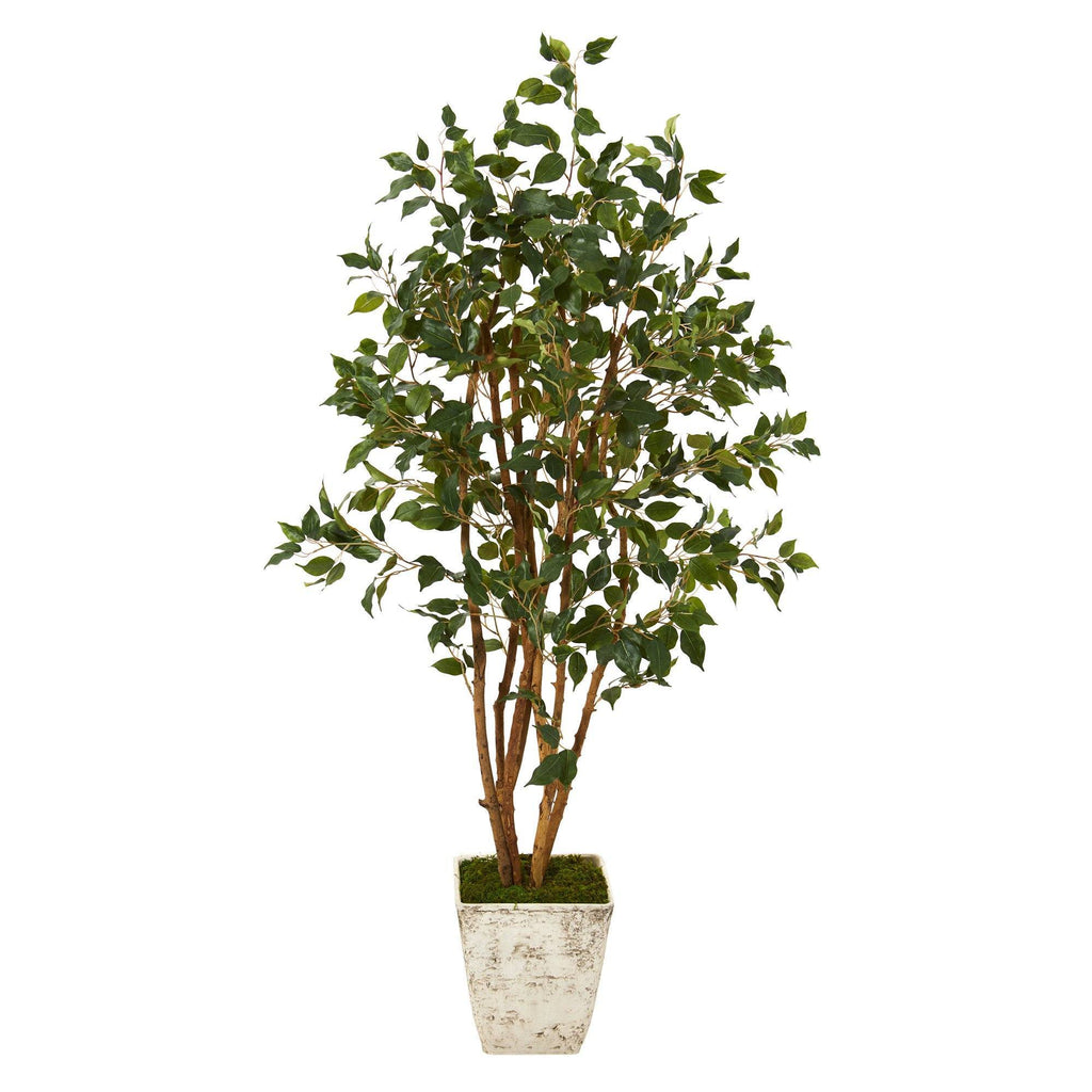 53” Ficus Artificial Tree in Country White Planter