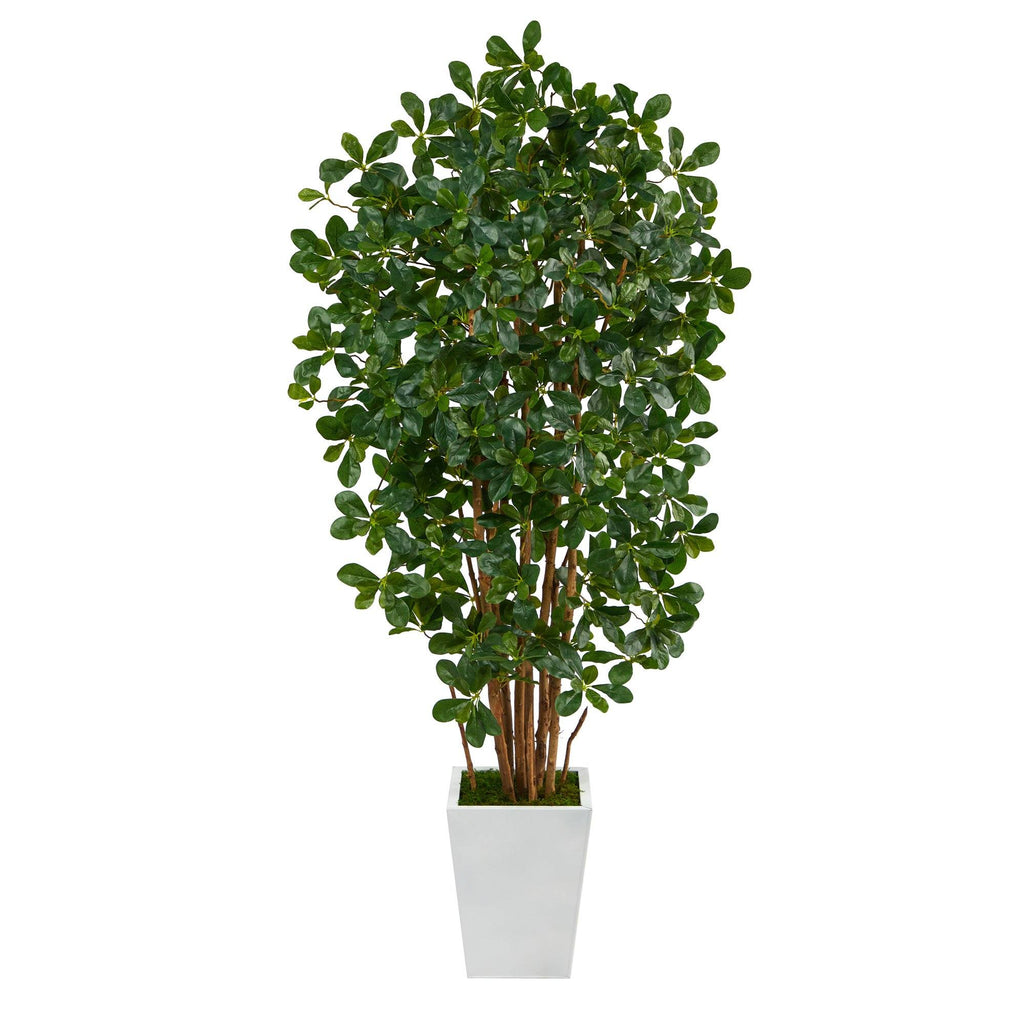 5.5’ Black Olive Artificial Tree with 1365 Bendable Leaves in Metal White Planter