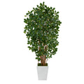 5.5’ Black Olive Artificial Tree with 1365 Bendable Leaves in Metal White Planter