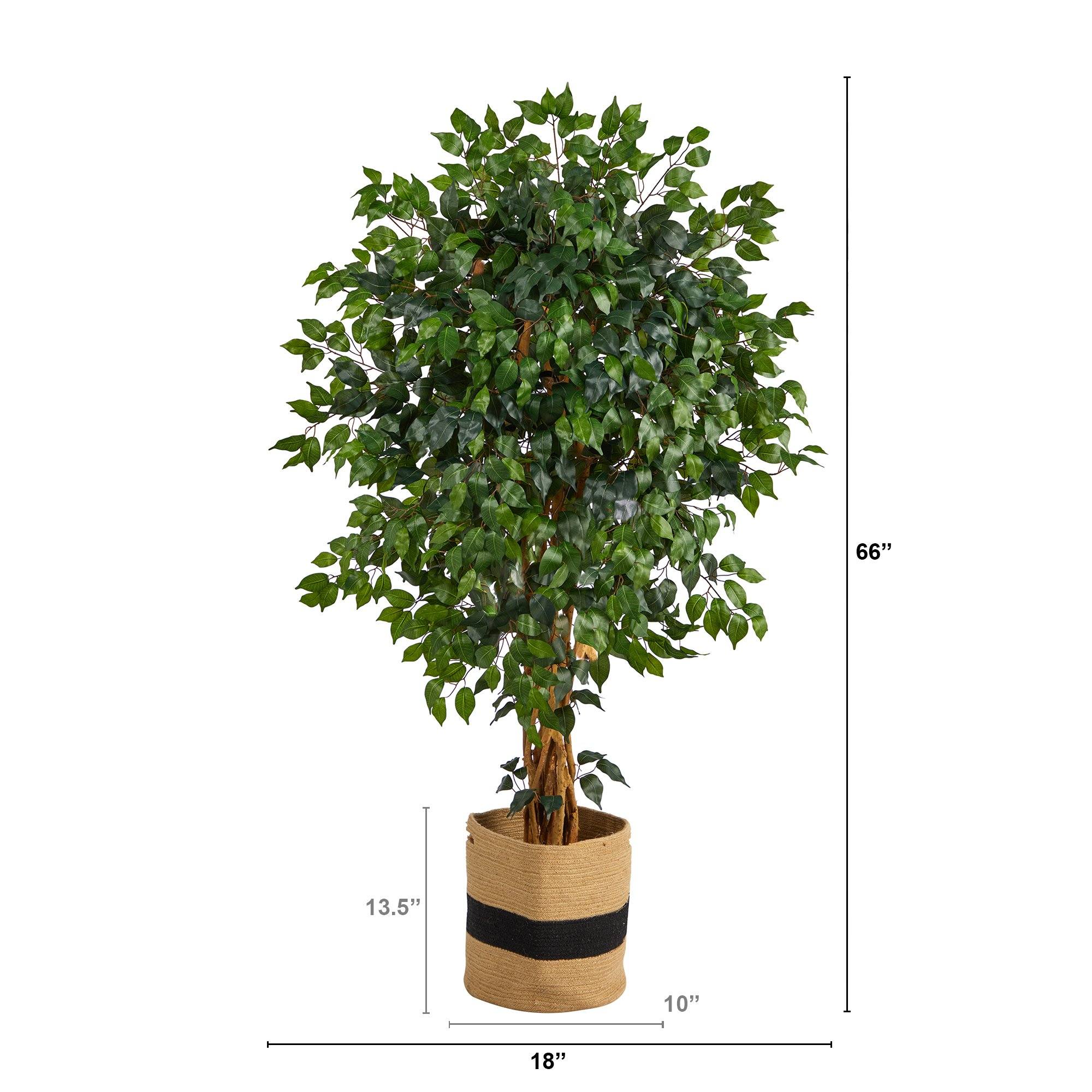 5.5’ Palace Ficus Artificial Tree in Handmade Natural Cotton Planter