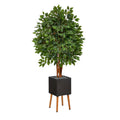 5.5’ Super Deluxe Artificial Ficus Tree in Black Planter with Stand