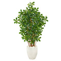 56” Black Olive Artificial Tree in White Planter