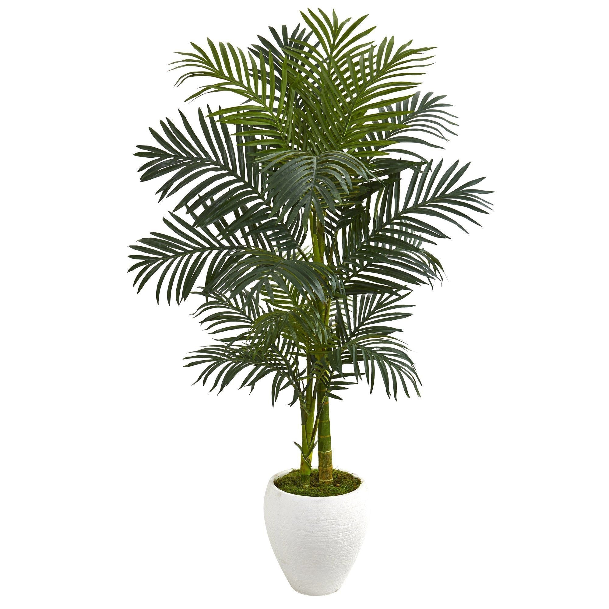 56” Golden Cane Artificial Palm Tree in White Planter