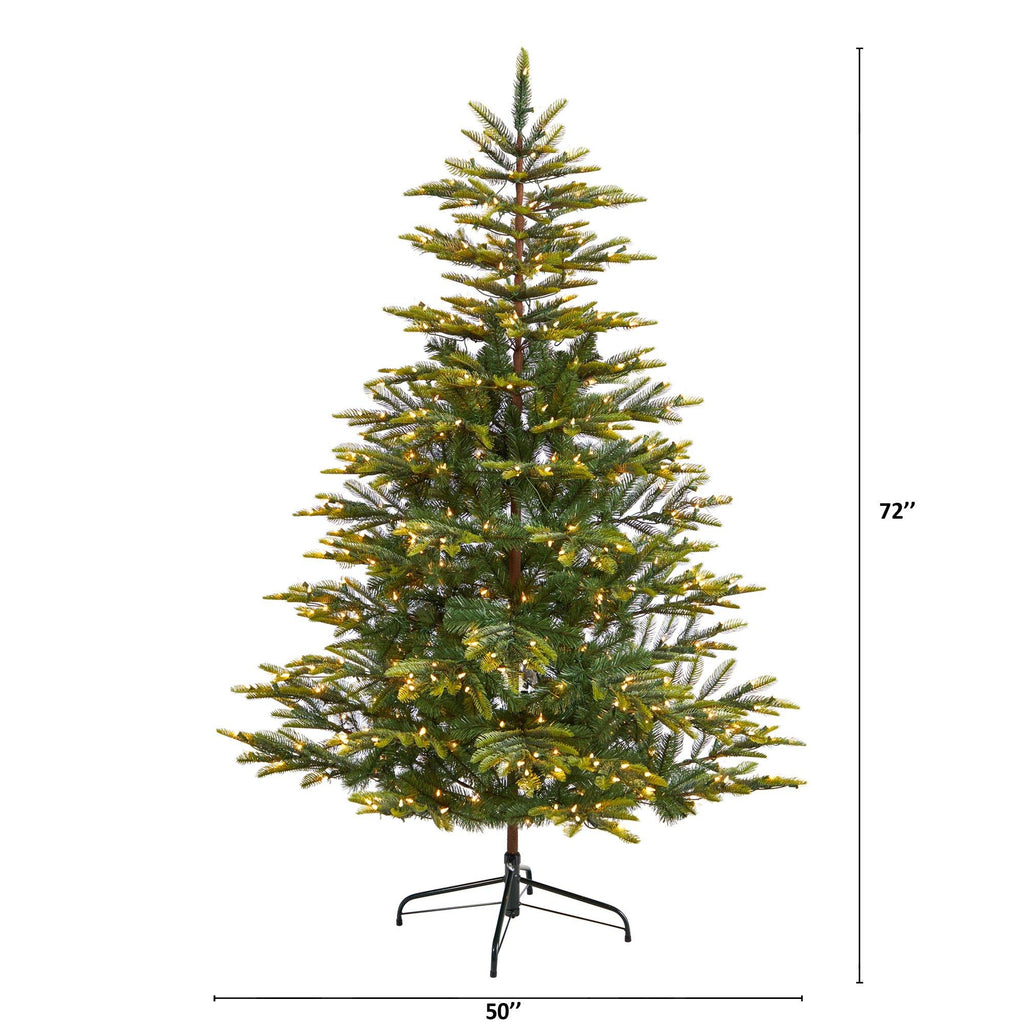 6' Barcelona Mountain Spruce Christmas Tree with 873 Bendable Branches and 450 Clear LED Lights