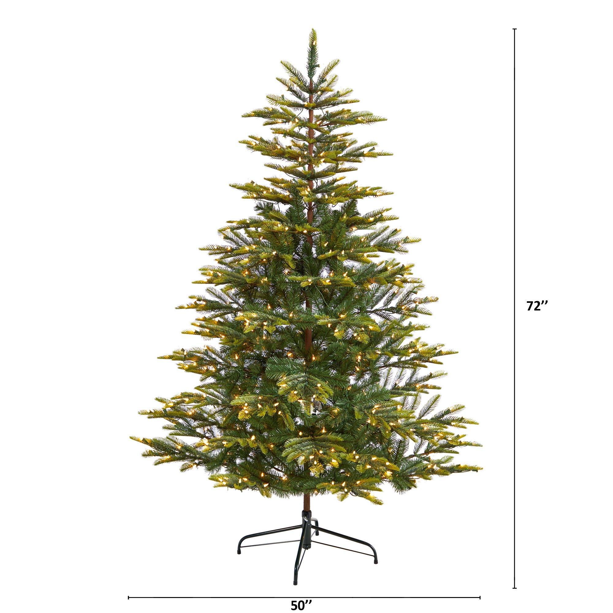 6' Barcelona Mountain Spruce Christmas Tree with 873 Bendable Branches and 450 Clear LED Lights