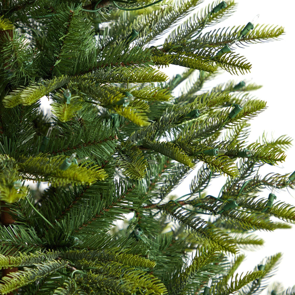 6' Barcelona Mountain Spruce Christmas Tree with 873 Bendable Branches and 450 Clear LED Lights