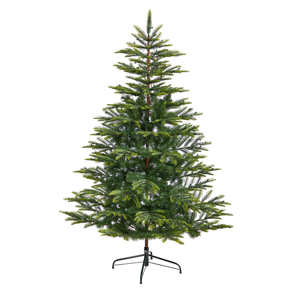 6' Barcelona Mountain Spruce Christmas Tree with 873 Bendable Branches and 450 Clear LED Lights