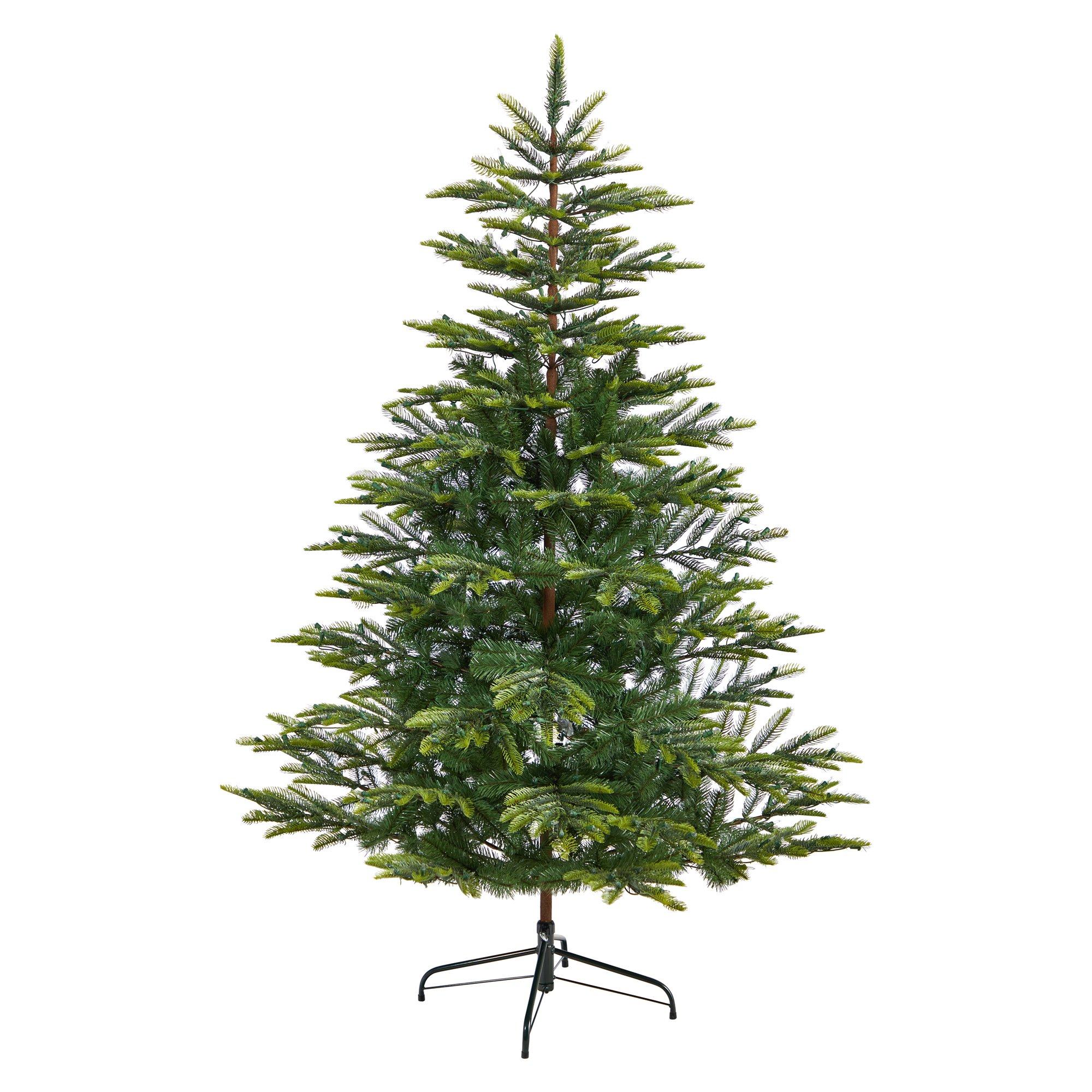 6' Barcelona Mountain Spruce Christmas Tree with 873 Bendable Branches and 450 Clear LED Lights