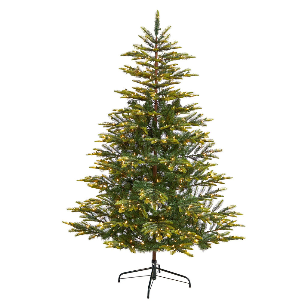 6' Barcelona Mountain Spruce Christmas Tree with 873 Bendable Branches and 450 Clear LED Lights