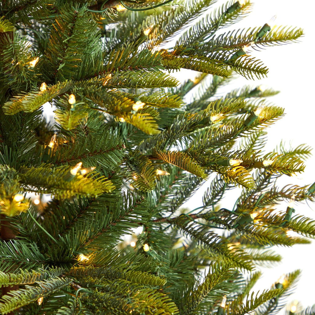 6' Barcelona Mountain Spruce Christmas Tree with 873 Bendable Branches and 450 Clear LED Lights