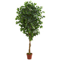 6’ Ficus Artificial Tree in Nursery Planter