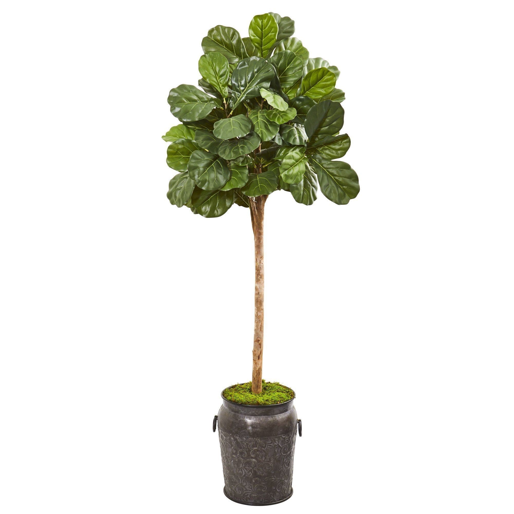 6’ Fiddle Leaf Fig Artificial Tree in Metal Planter