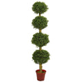 6’ Four Tier Boxwood Artificial Topiary Tree UV Resistant (Indoor/Outdoor)