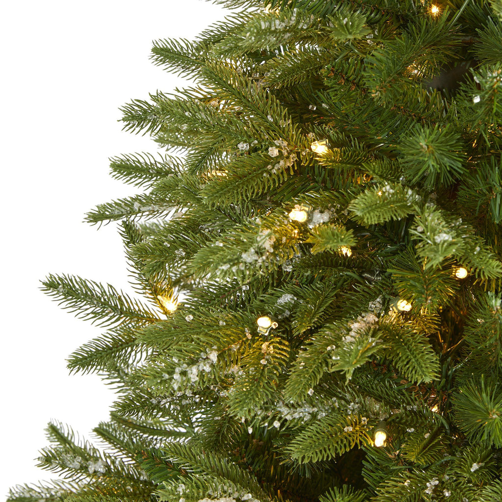 6’ Snowed Grand Teton Artificial Christmas Tree with 300 Clear Lights and 730 Bendable Branches