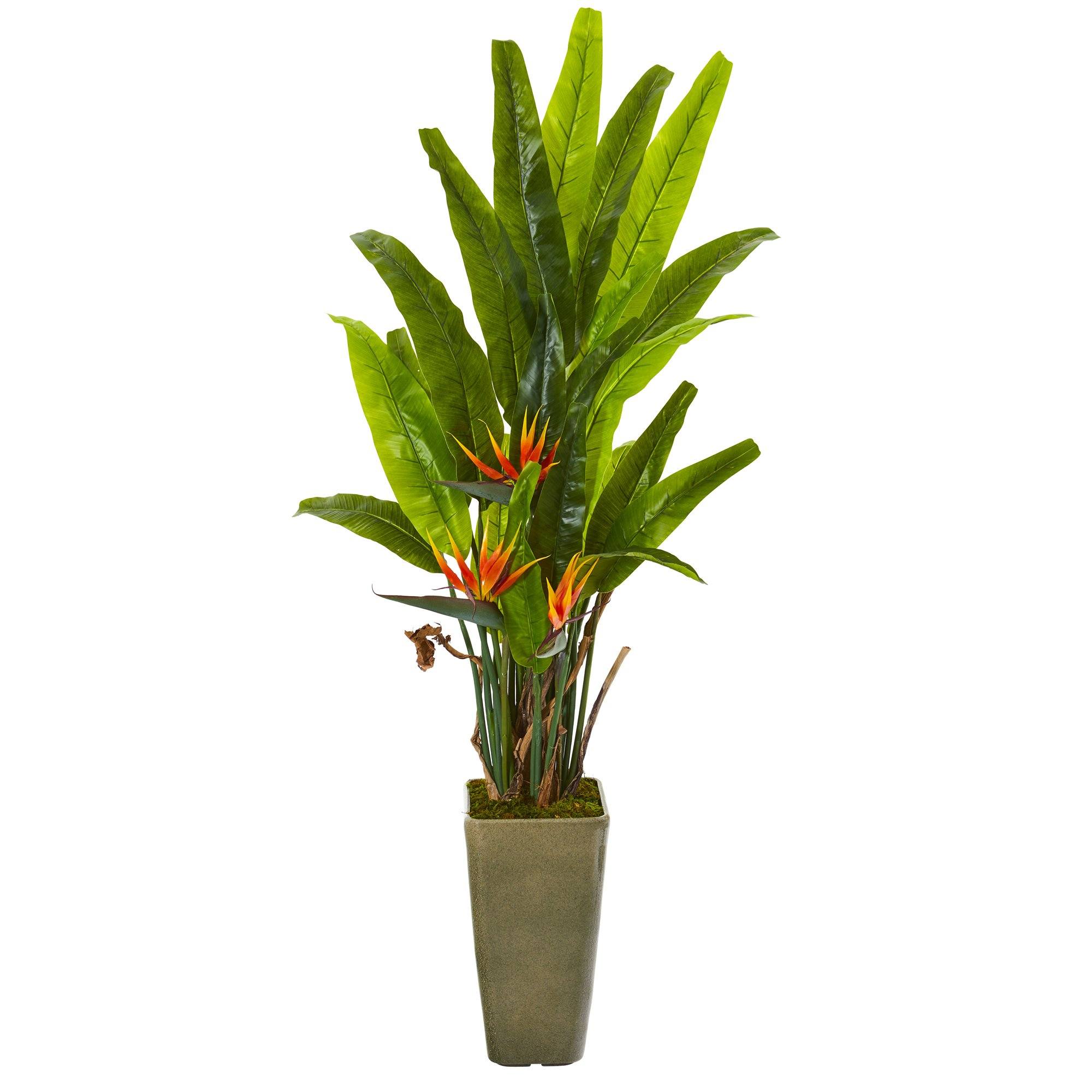 62” Bird of Paradise Artificial Plant in Olive Green Planter