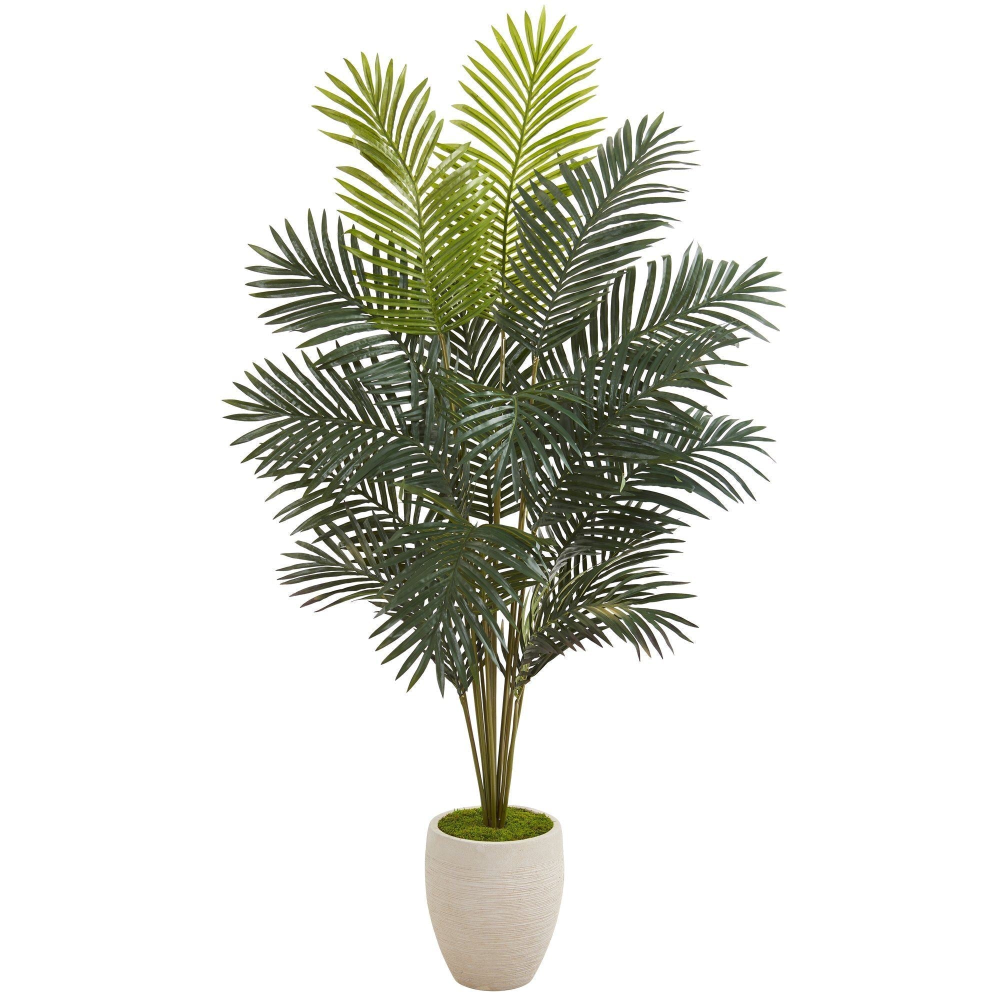 63” Paradise Palm Artificial Plant in Sand Colored Planter