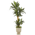 63” Yucca Artificial Plant in Decorative Urn