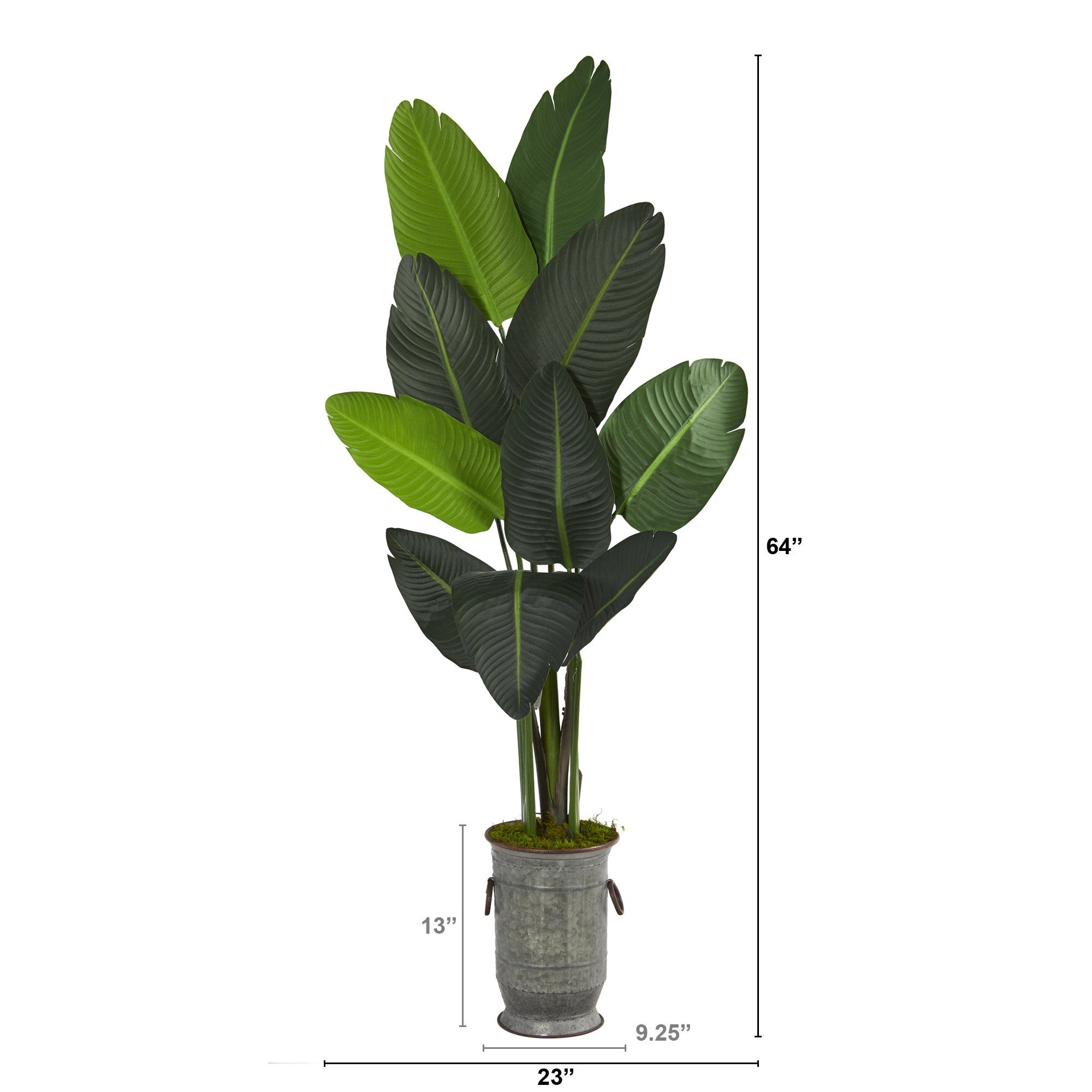 64” Traveler's Palm Artificial tree in Vintage Metal Planter