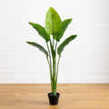 64” Travelers Palm Tree UV Resistant (Indoor/Outdoor)