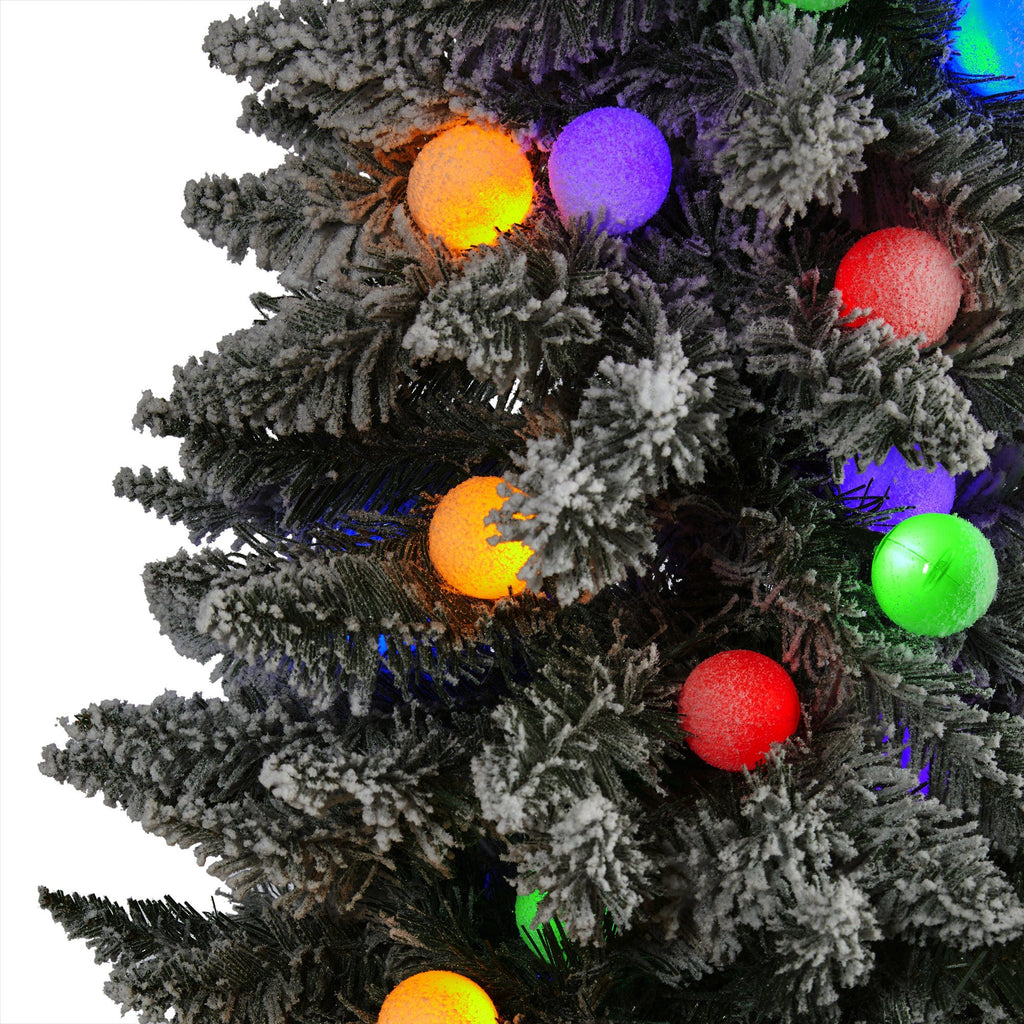 6.5' Flocked British Columbia Mountain Fir Artificial Christmas Tree with 75 Multi Color Globe Bulbs and 679 Bendable Branches