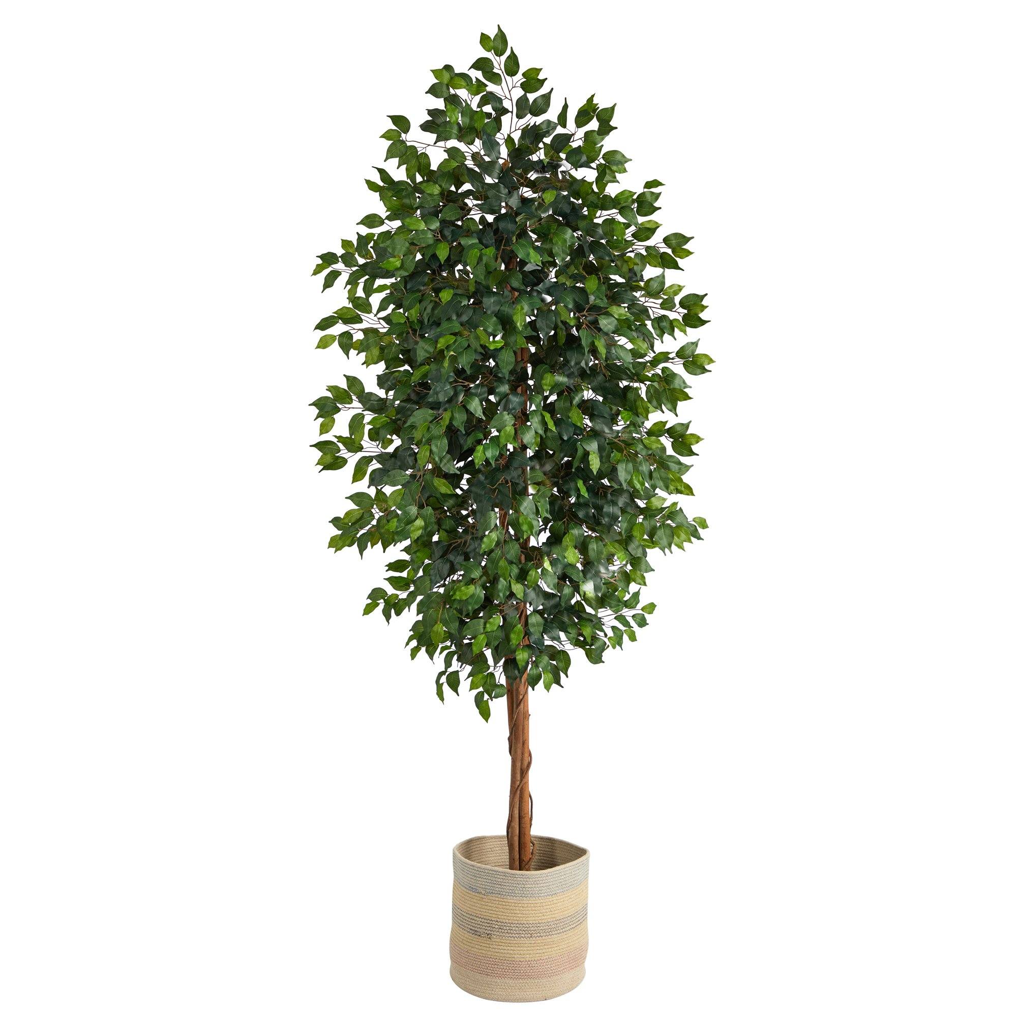 8’ Ficus Artificial Tree with Handmade Natural Cotton Multicolored Woven Planter