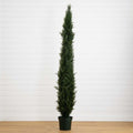 8' Mini Cedar Pine Tree w/4249 tips in 12” Pot (Two Tone Green)