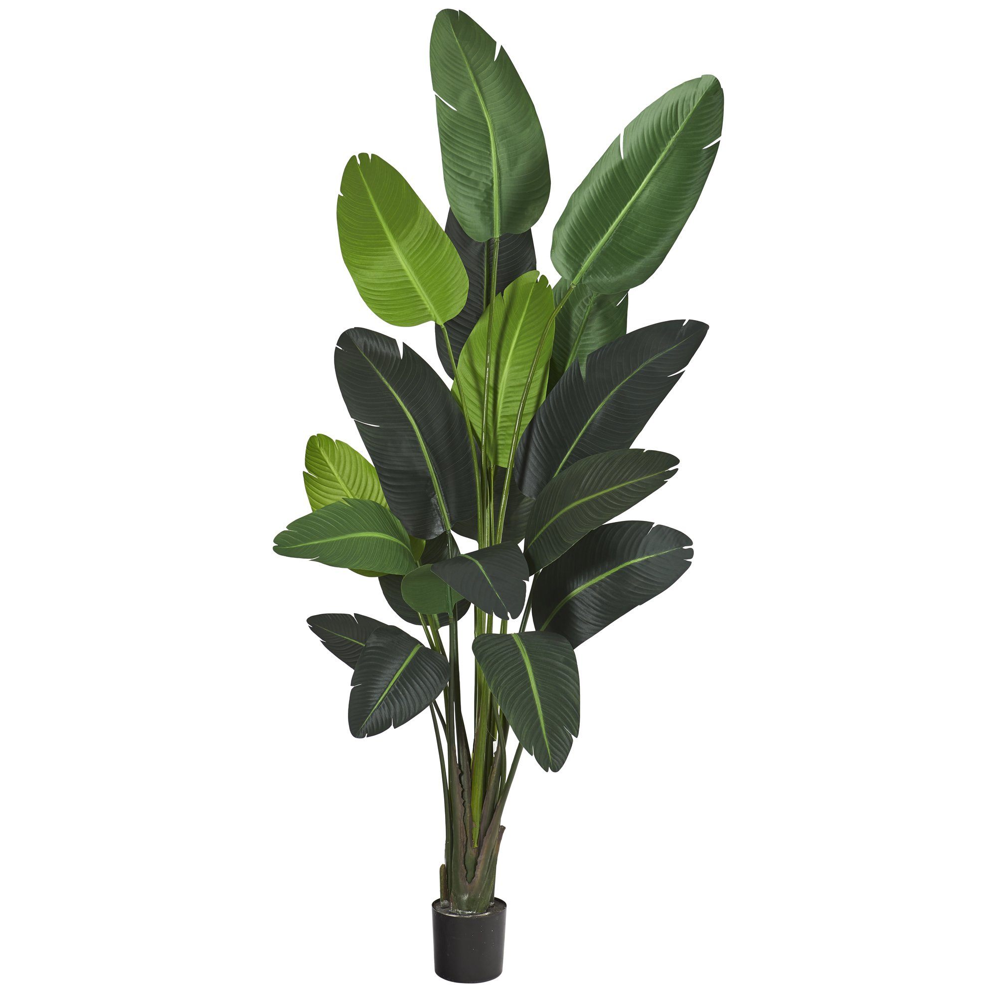 8’ Traveler's Palm Artificial tree