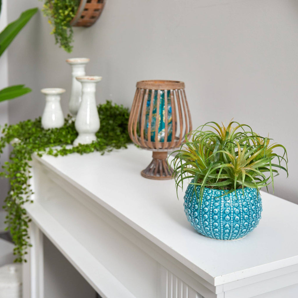 9” Tillandsia Artificial Plant in Blue Planter