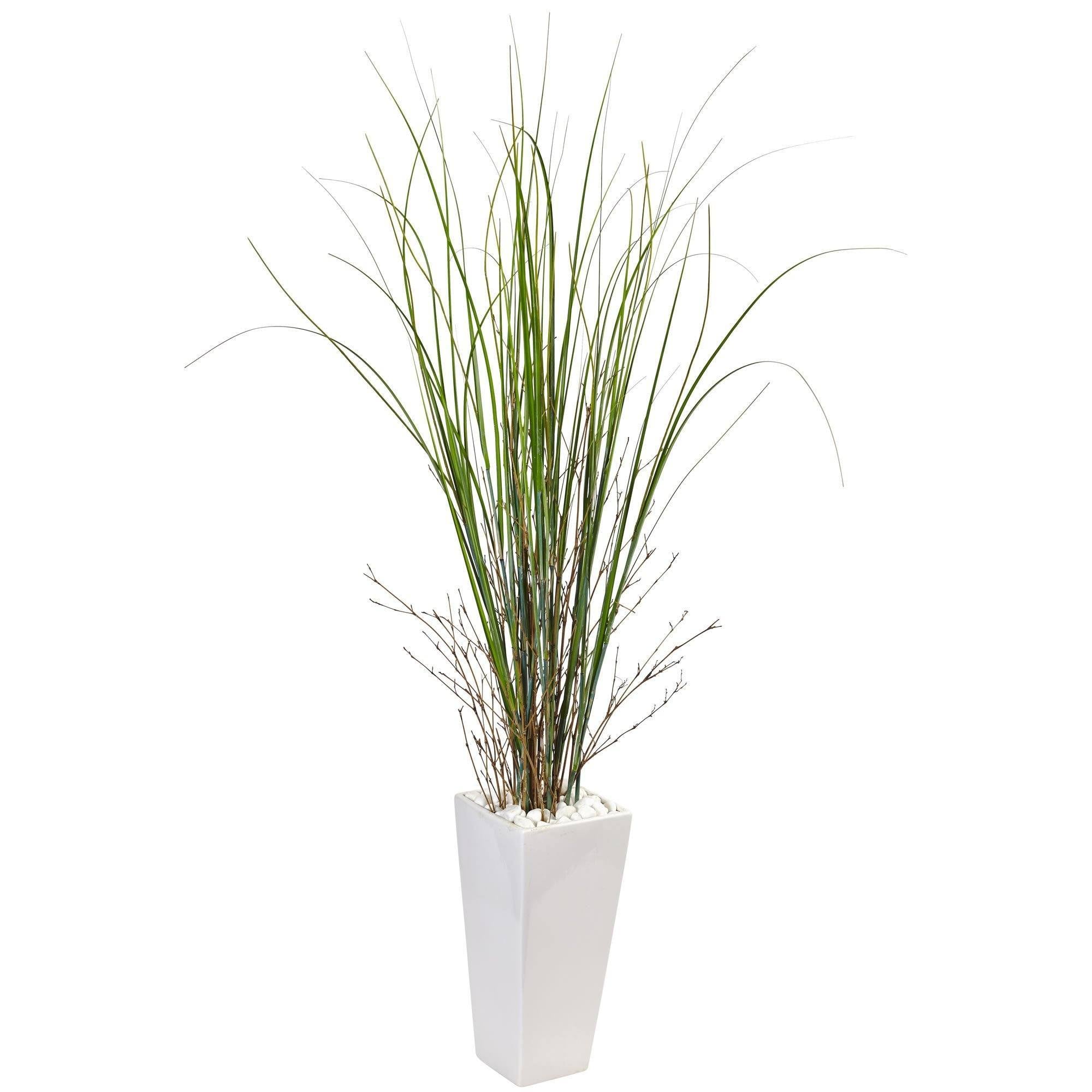 Bamboo Grass in White Tower Ceramic