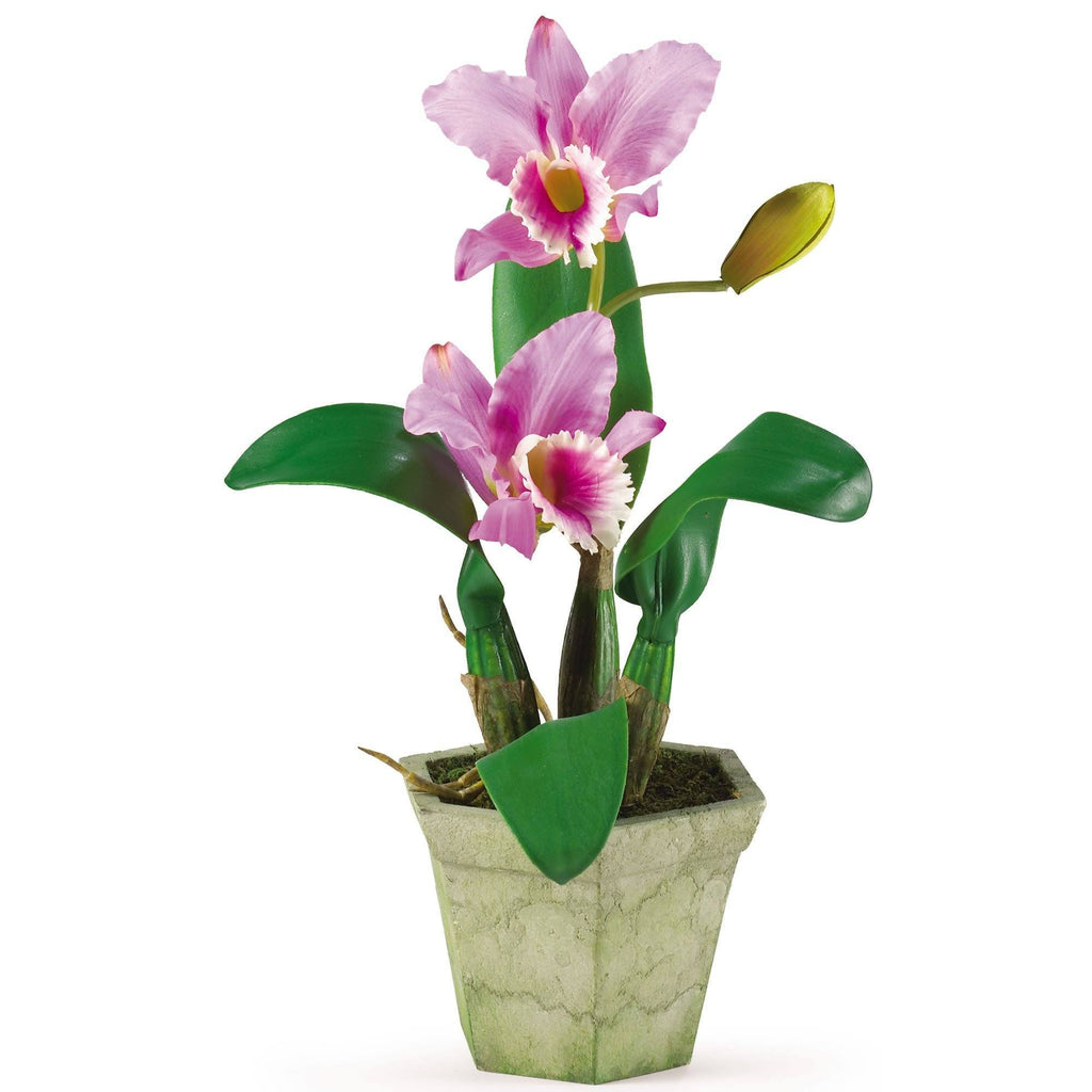 Cattelya Orchid w/Vase (Set of 3)