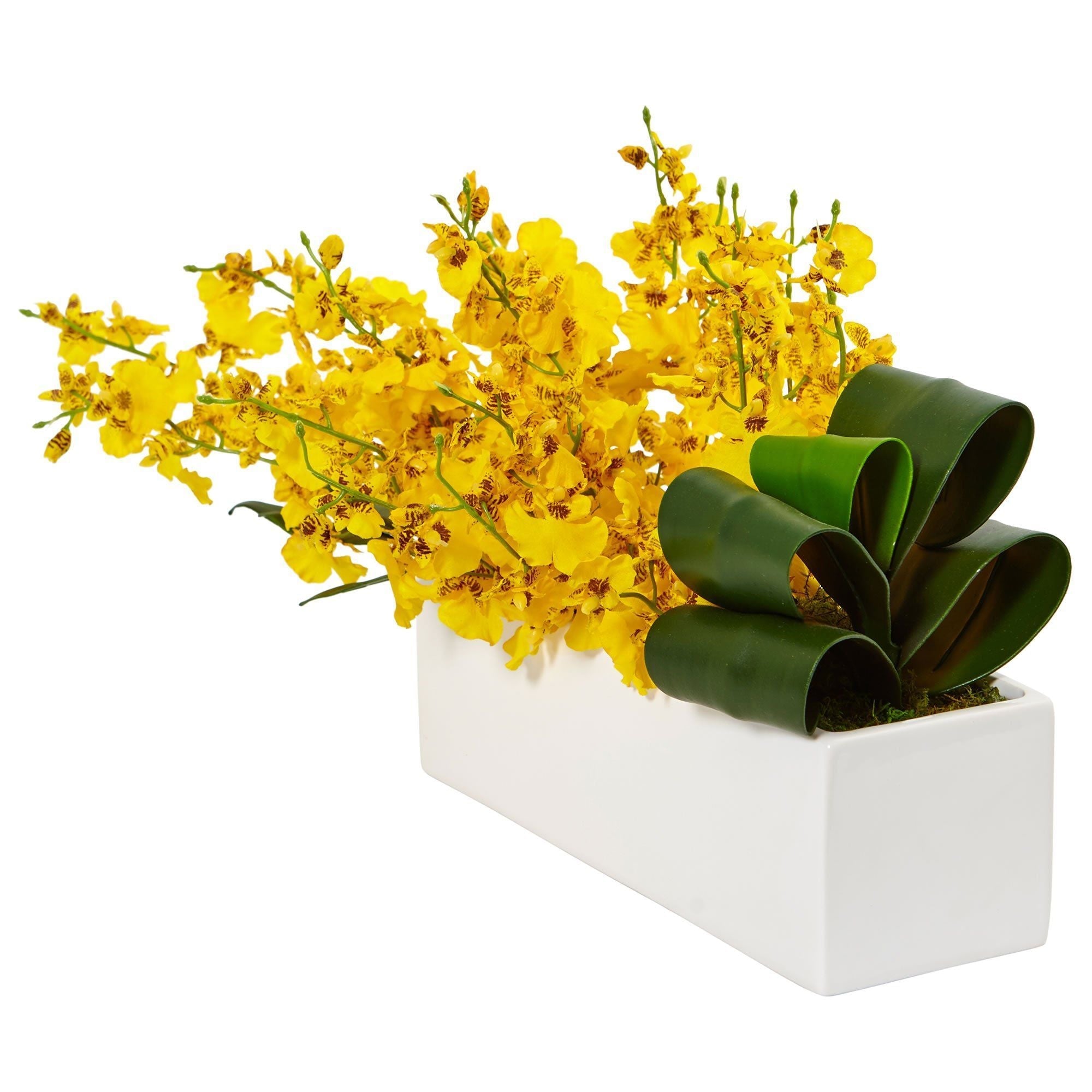 Dancing Lady Orchid in Rectangular Ceramic