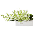 Dancing Lady Orchid in Rectangular Ceramic