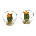 Flowering Cactus Artificial Plant in Glass Vase (Set of 2)
