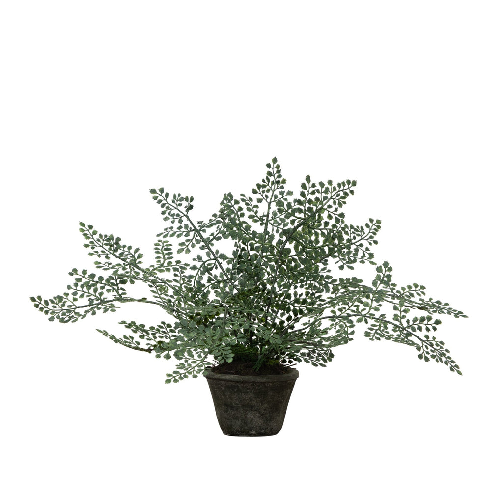 Maiden Hair Artificial Plant in Decorative Planter