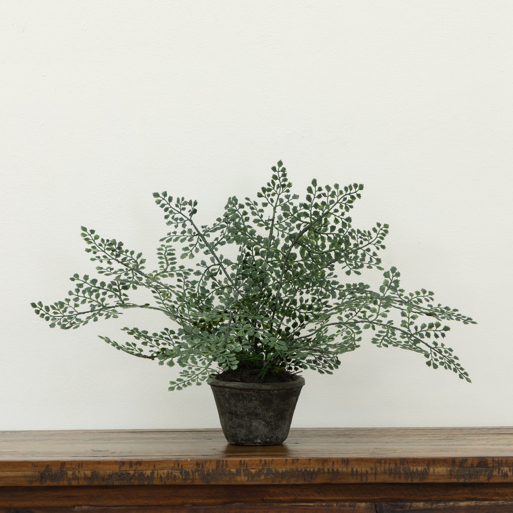 Maiden Hair Artificial Plant in Decorative Planter