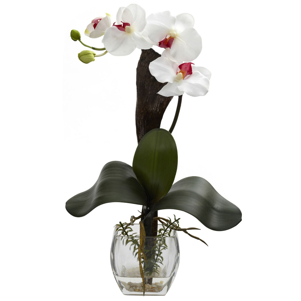 Mini Phal Orchid Arrangement (Set of 3)