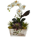 Orchid & Succulent Garden w/White Wash Planter