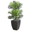 Paradise Palm Artificial Tree in Black Planter