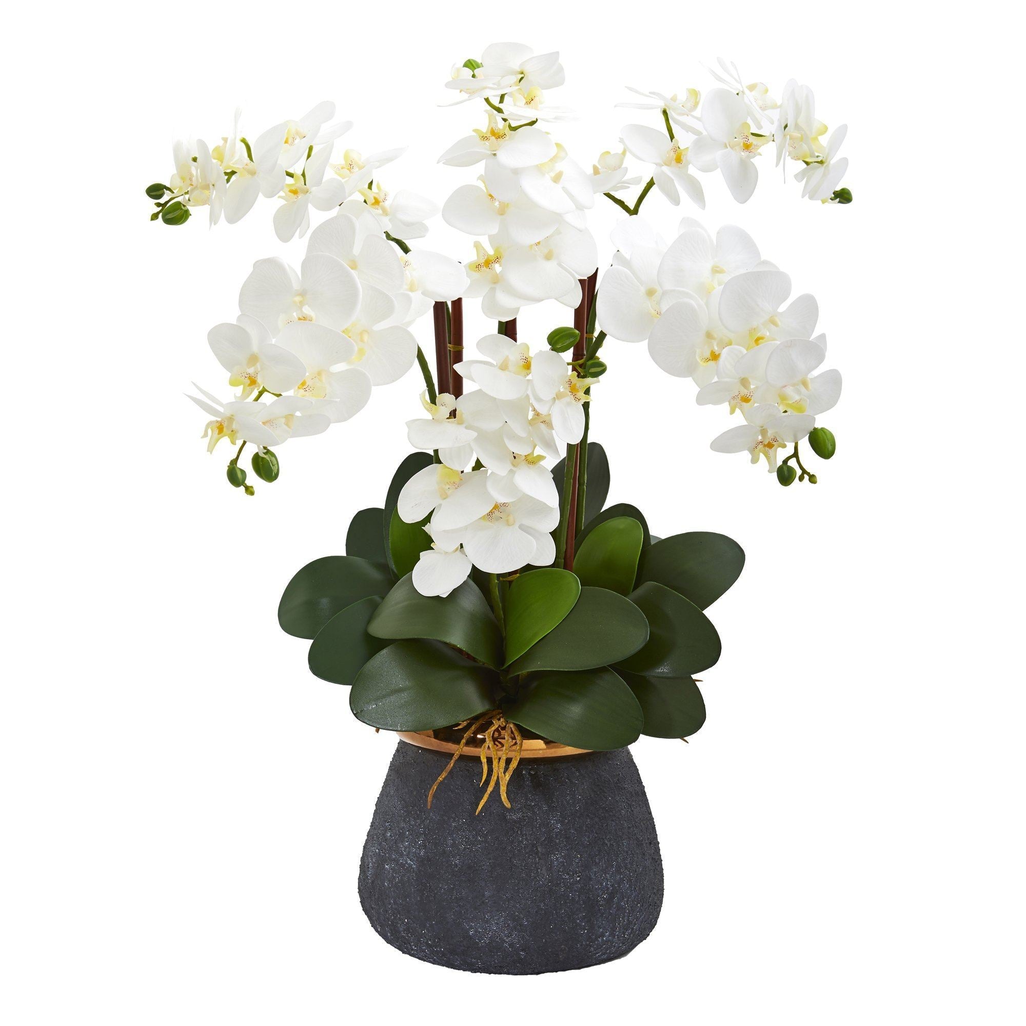 Phalaenopsis Orchid Artificial Arrangement in Stoneware Vase
