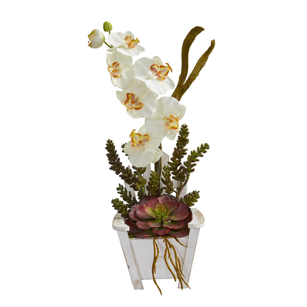 Phalaenopsis Orchid & Succulent Artificial Arrangement in Chair Planter