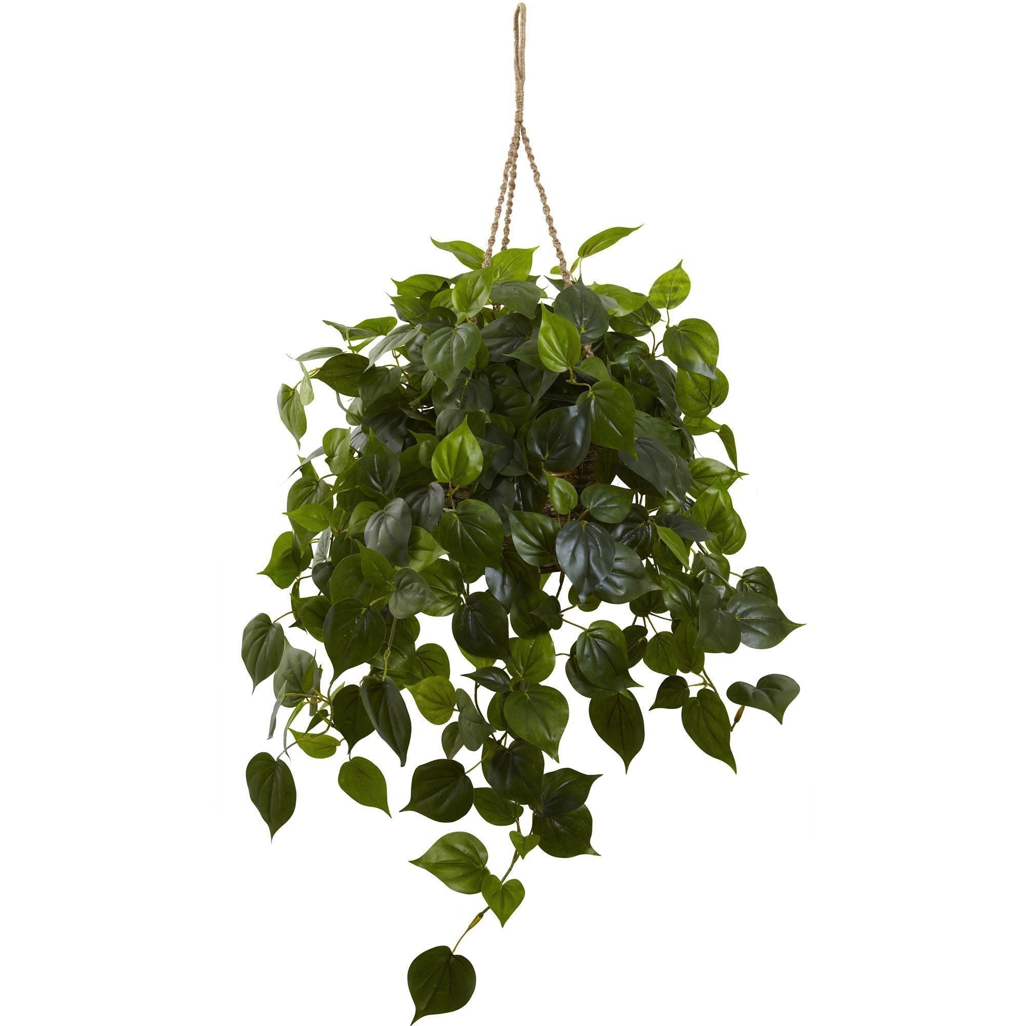 Philodendron Hanging Basket UV Resistant (Indoor/Outdoor)