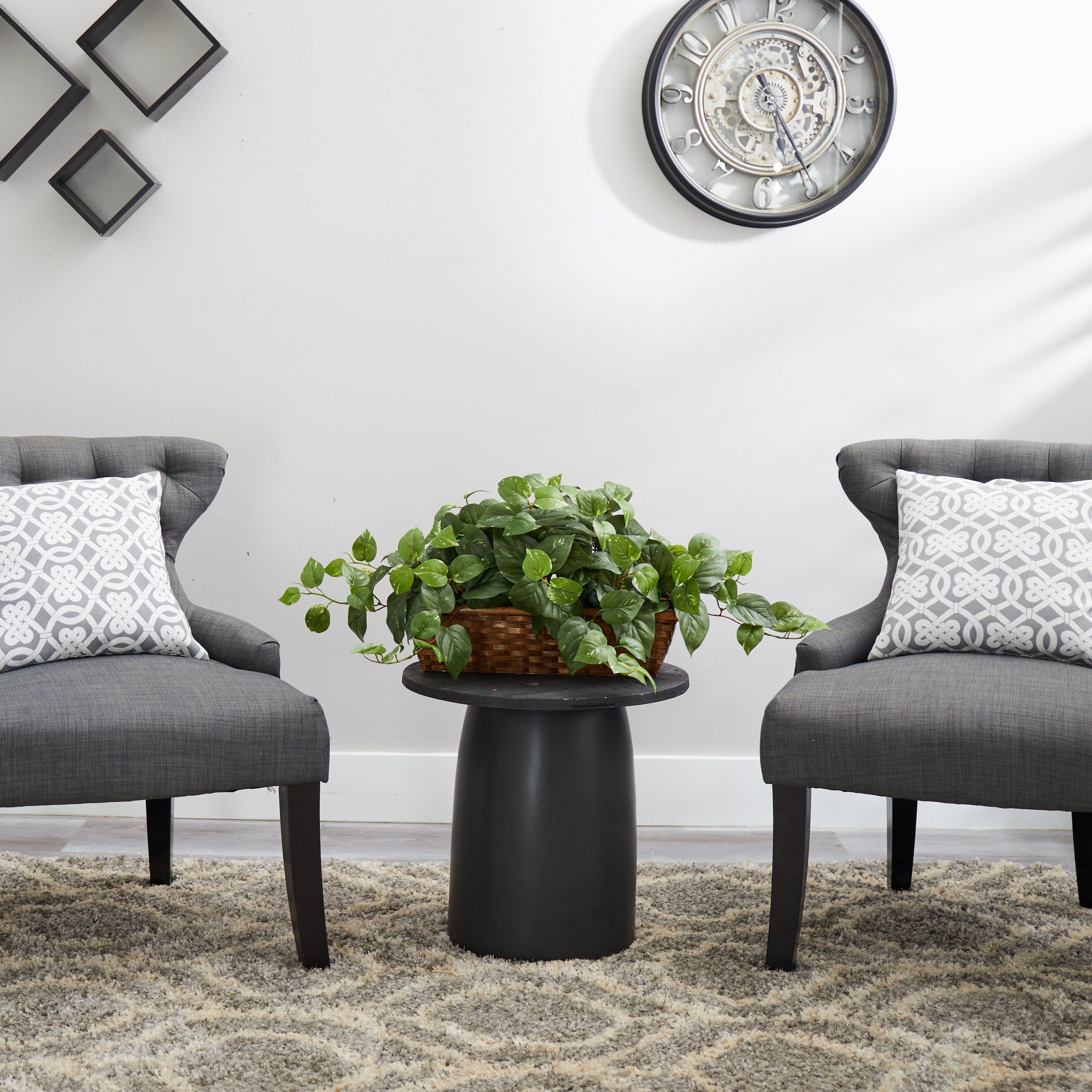 Pothos w/Ledge Basket