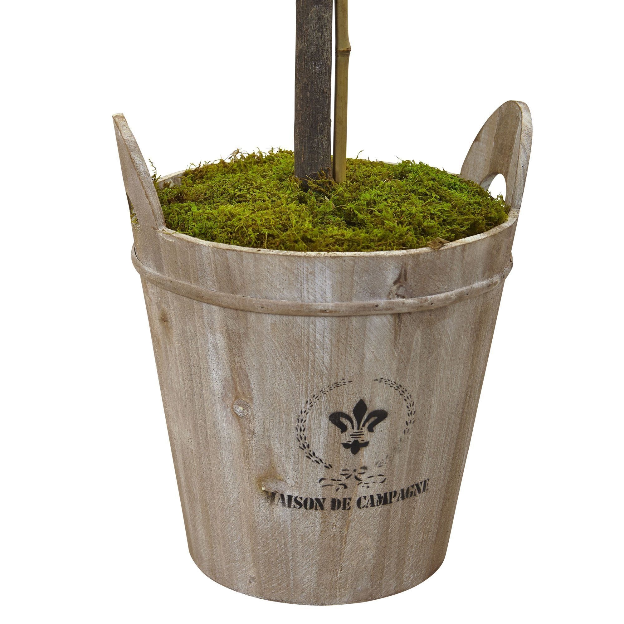 Rose Topiary with Farmhouse Planter