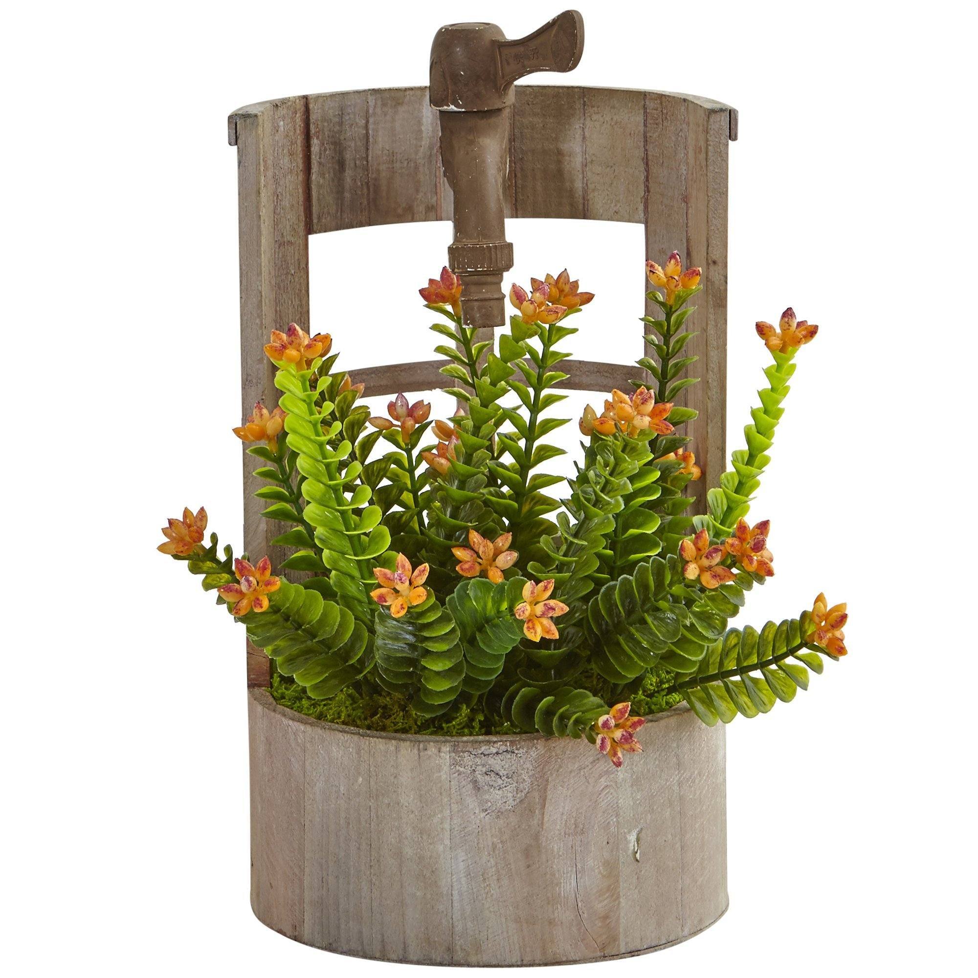 Sedum in Garden Planter