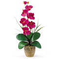 Single Stem Phalaenopsis Silk Orchid Arrangement