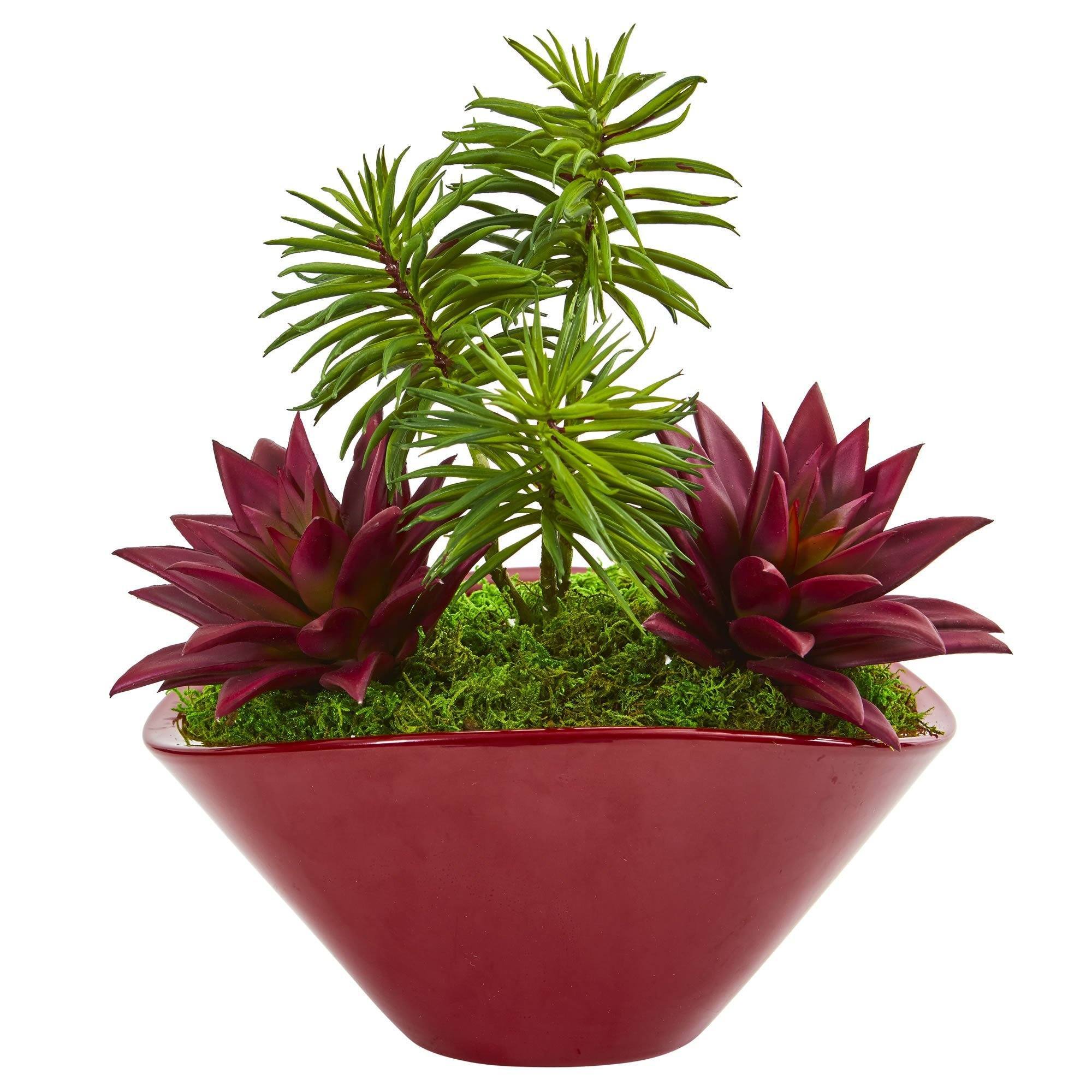 Succulent Garden Artificial Plant in Burgundy Vase