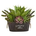 Succulent Garden in Wood Planter